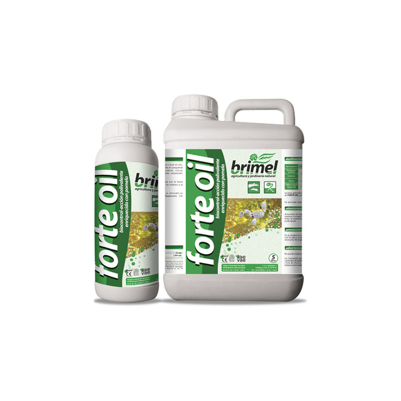 Forte Oil