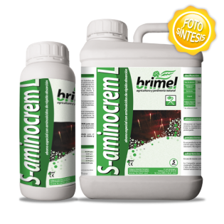 S-Aminocrem L